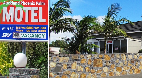 Auckland Phoenix Palm Motel in Remuera